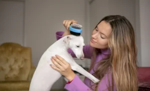 Paws Pet Grooming