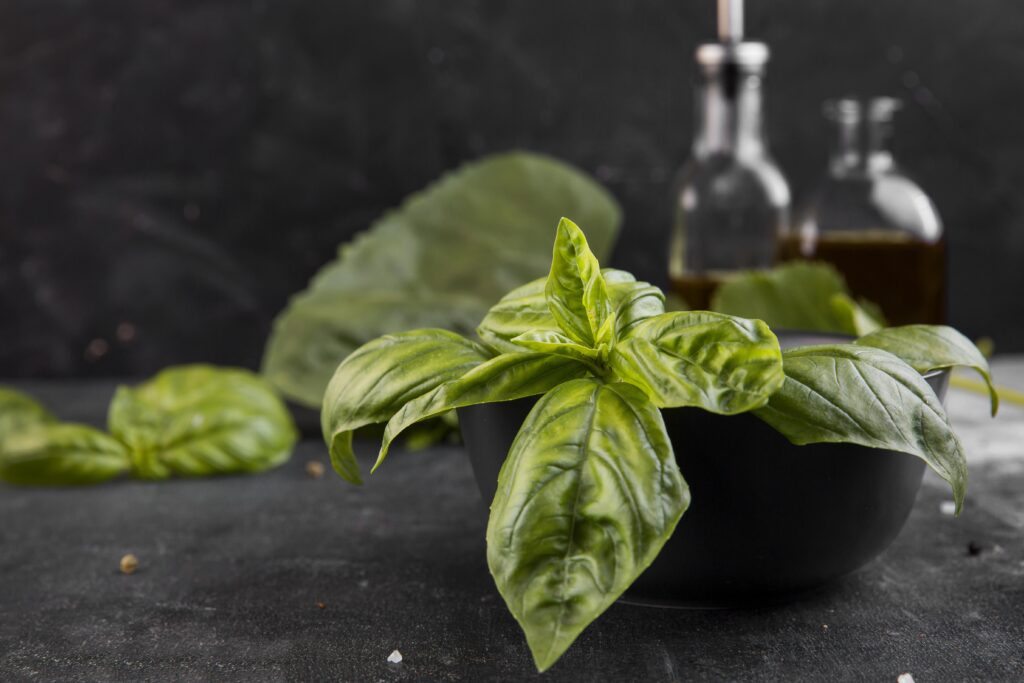 Basil Fomanka: Bridging Traditional Healing and Modern Medicine