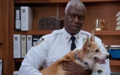 Dogs and Heroes Don’t Dress Up Chapter 4: The Power of Quiet Heroism